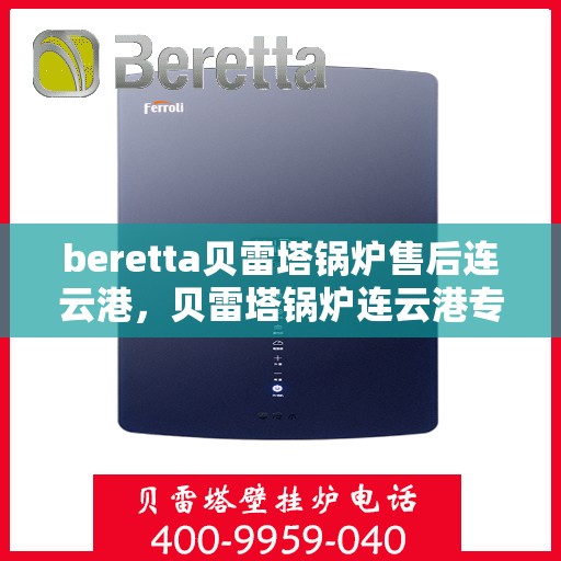 beretta贝雷塔锅炉售后连云港，贝雷塔锅炉连云港专业售后服务支持
