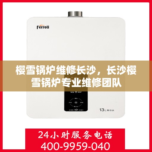 樱雪锅炉维修长沙，长沙樱雪锅炉专业维修团队