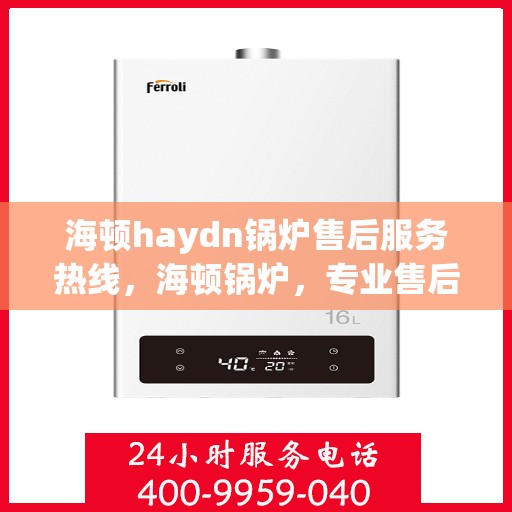 海顿haydn锅炉售后服务热线，海顿锅炉，专业售后服务热线，解决您的锅炉问题