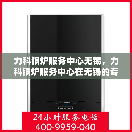 力科锅炉服务中心无锡，力科锅炉服务中心在无锡的专业服务