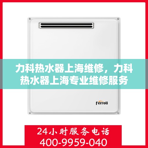 力科热水器上海维修，力科热水器上海专业维修服务