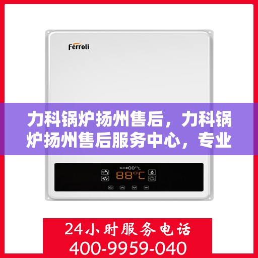 力科锅炉扬州售后，力科锅炉扬州售后服务中心，专业维修与优质服务