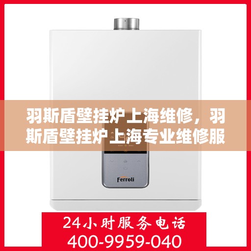羽斯盾壁挂炉上海维修，羽斯盾壁挂炉上海专业维修服务