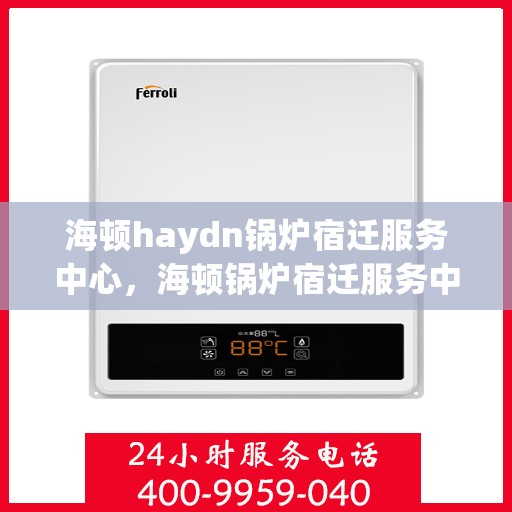 海顿haydn锅炉宿迁服务中心，海顿锅炉宿迁服务中心，专业维修与优质服务并行