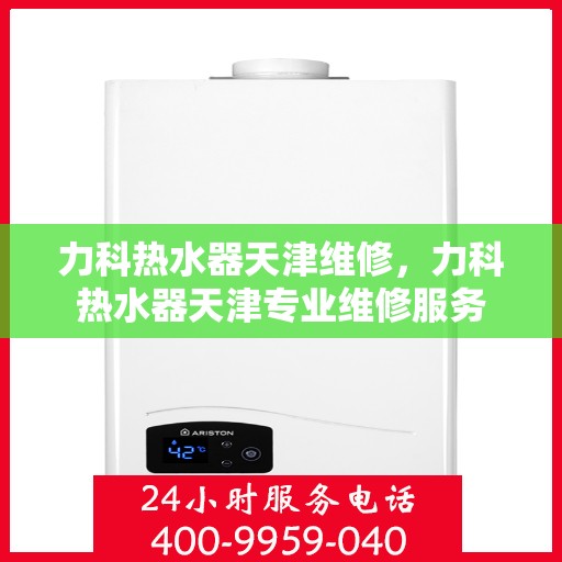 力科热水器天津维修，力科热水器天津专业维修服务